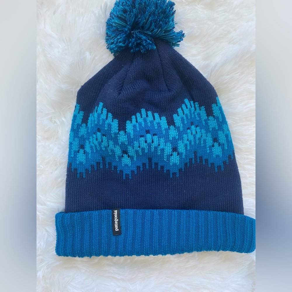 Patagonia winter hat